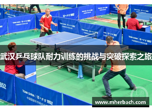 武汉乒乓球队耐力训练的挑战与突破探索之旅