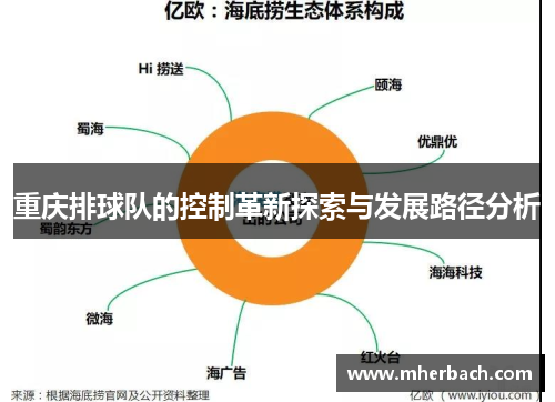 重庆排球队的控制革新探索与发展路径分析