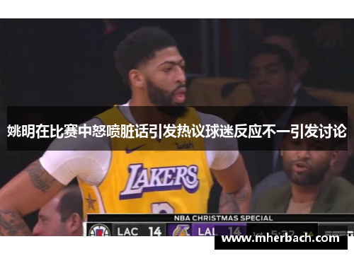 姚明在比赛中怒喷脏话引发热议球迷反应不一引发讨论
